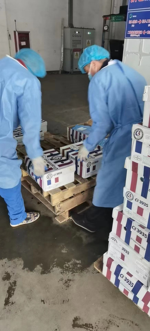 必一运动bsport体育