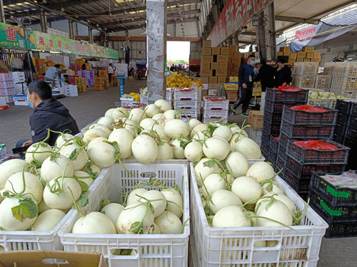 必一运动bsport体育