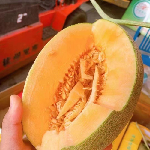 必一运动bsport体育