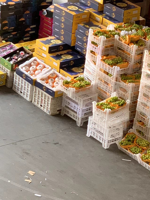 必一运动bsport体育