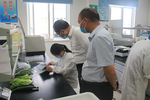 必一运动bsport体育