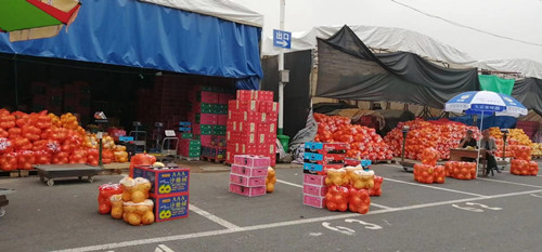 必一运动bsport体育