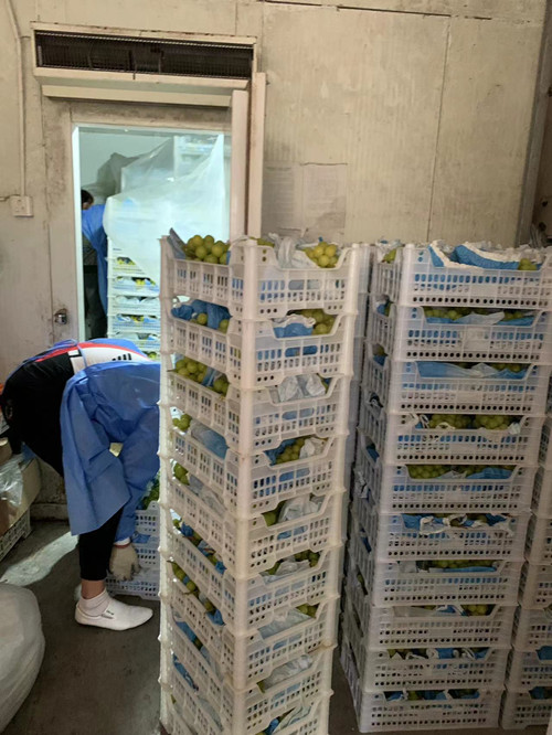 必一运动bsport体育