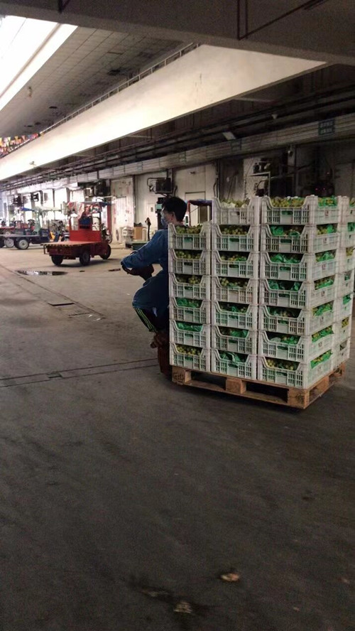 必一运动bsport体育