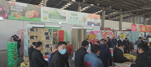 必一运动bsport体育